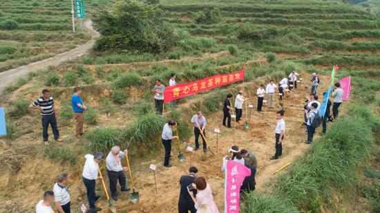 乌龙乡人口_七龙珠乌龙(3)