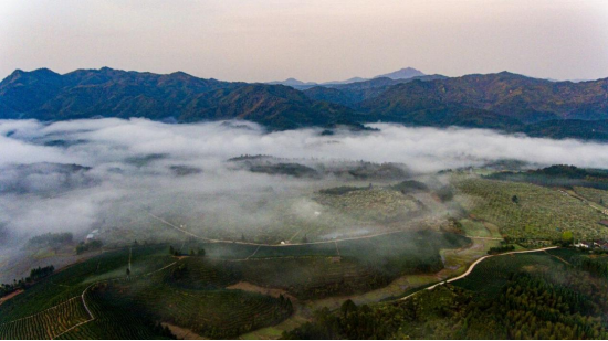 （图源公众号：光泽文旅体）