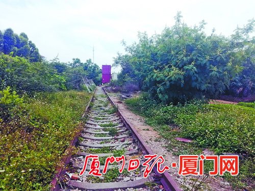 改造前,老铁路周边杂草丛生