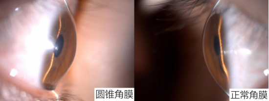 通讯员供图