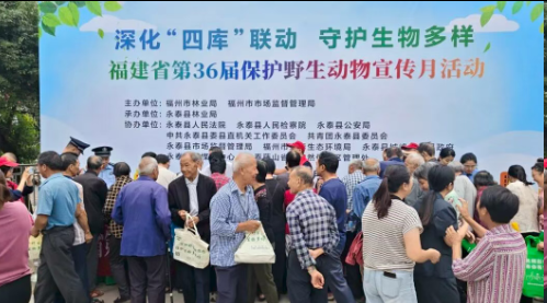 活动现场