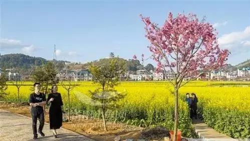图片来源:莆田筑梦