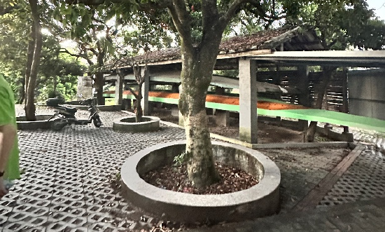 &nbsp;苏坂龙舟厝的艺术乡建改造前