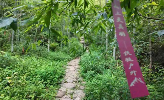 竹林间原生态登山步道