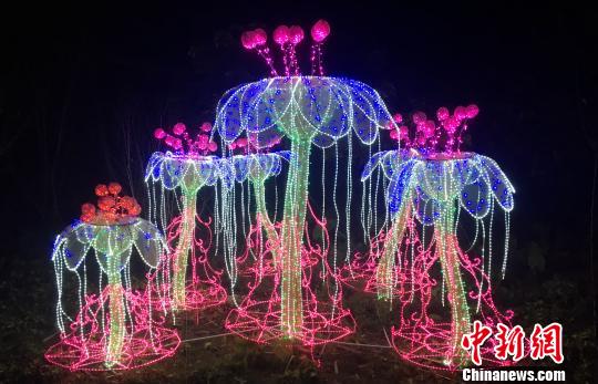 灯组独特的造型、奇幻的色彩。张金川 摄