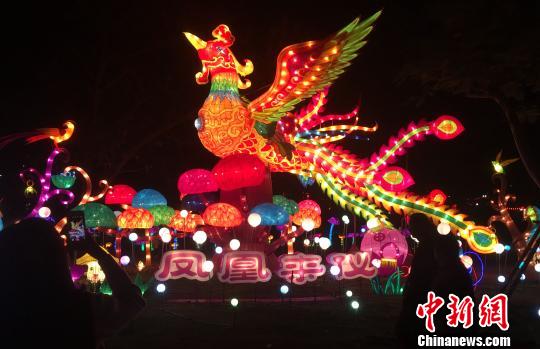 流光溢彩的灯组吸引市民连连用手机定格璀璨灯景。张金川 摄