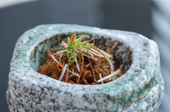 凉拌云南树花菌