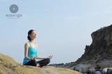 easyoga٤ʹѡοڼ