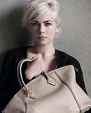 ·ȫ Michelle Williams ؼ