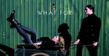 һͬЬ WHAT FORŻݻ