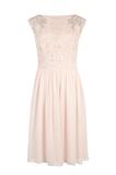 Ted BakerЯSwarovskiȫݻ