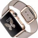 Ϲ Apple WatchǸ߼