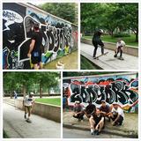 ZOO YORK TEAM˿黥 