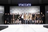 γܳ»͸STACCATOﶬϵ