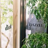 DAZZLE-FASHIONԭ