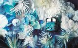 LA MER֮2016纣ռ100ml˪