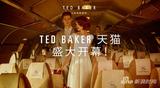 ӢʱƷTed Bakerʽפè̳