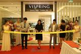 ˯ƪ Ӣݻ˯VISPRINGµĻ