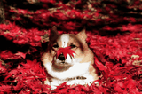 ˵һ ǾΪĳƬ