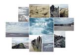 AIGLE 2016ﶬϵ֮