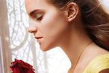 ŮҰޡ鱦˼ Ear Cuff