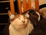 ¶ȵȶƷ˲90飿