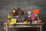 ETRO޲ʰʺ ETRO 2017ﶬŮʿϵ