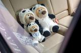 ɶ˼پƵƳPanda Lion