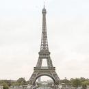 ںݽ踴Ƴ ֻһɺ