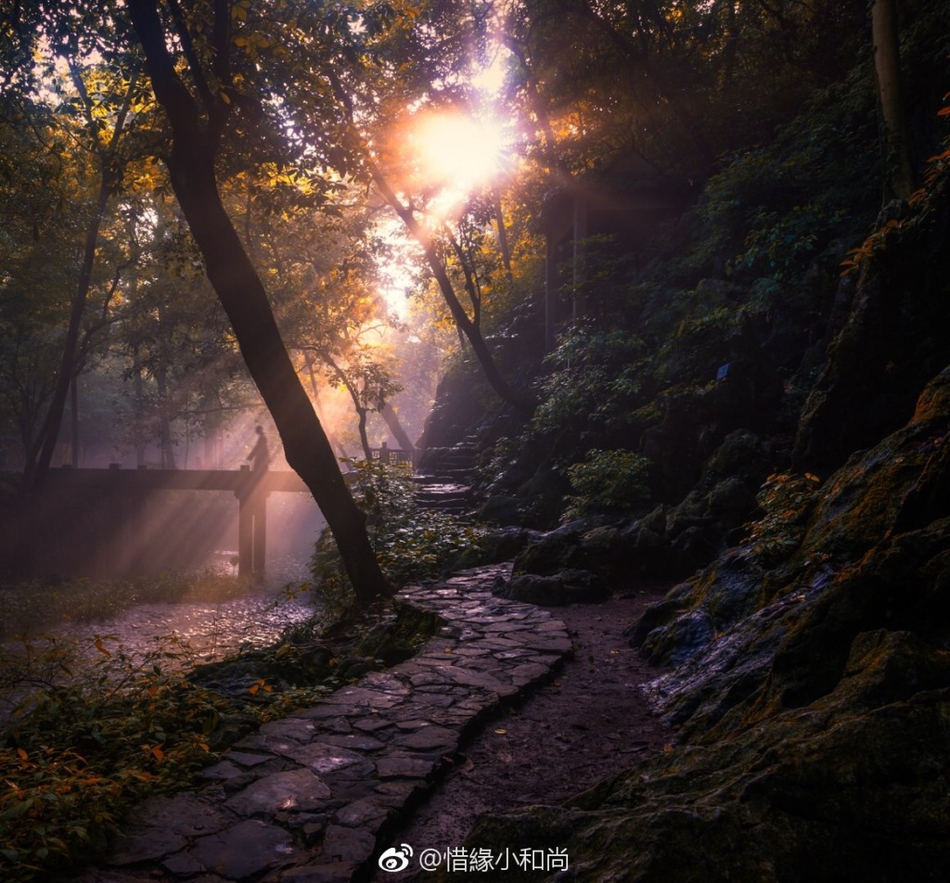 禅意摄影:江南古刹与僧人