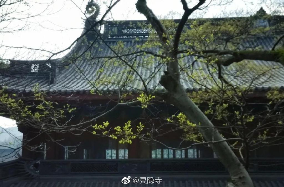 宁波香格里拉(宁波香格里拉城市花园)