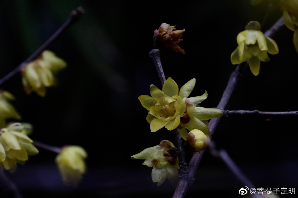 湘江老厨(湘江老厨招牌菜)