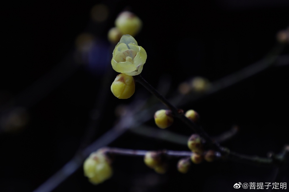 去贵州旅游,贵州自助游攻略