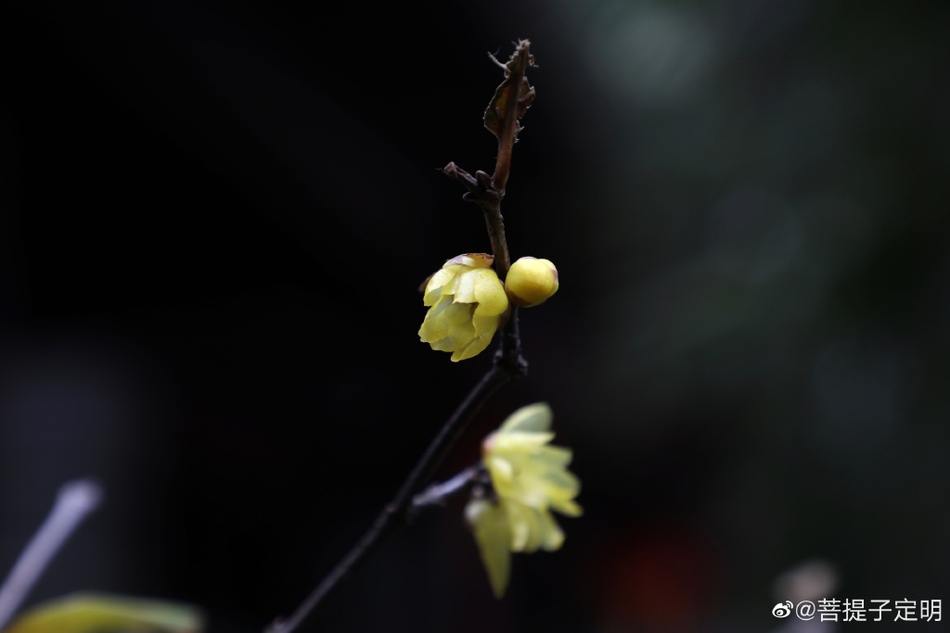 多物理场仿真软件,ug与ansys有限元哪个好