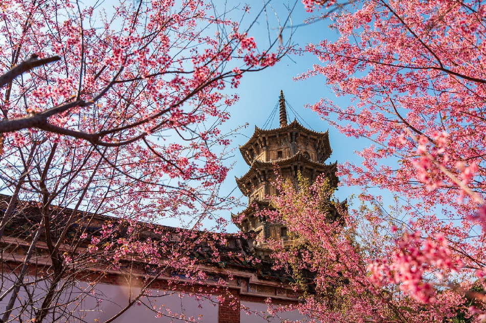 武夷山在哪,武夷山的地理位置