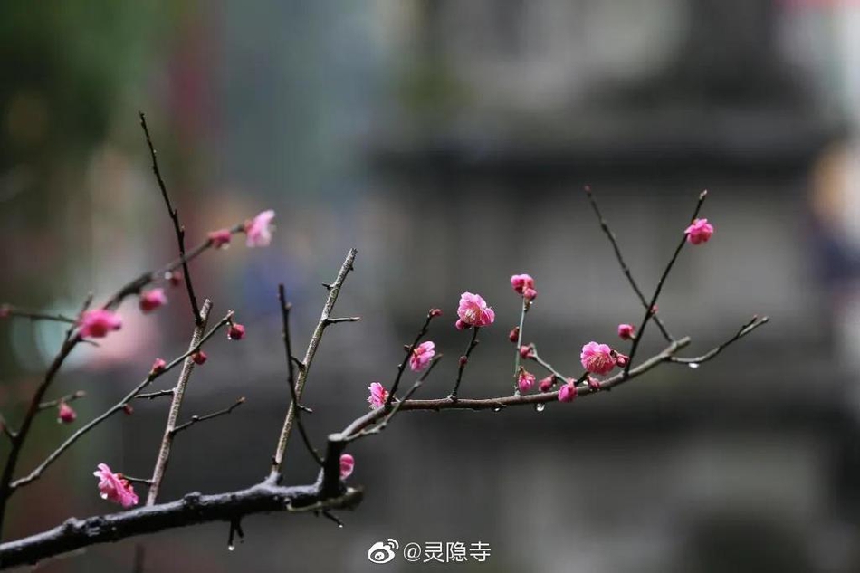 北部湾旅游,广西北海有什么好的旅游景点么？推荐几个