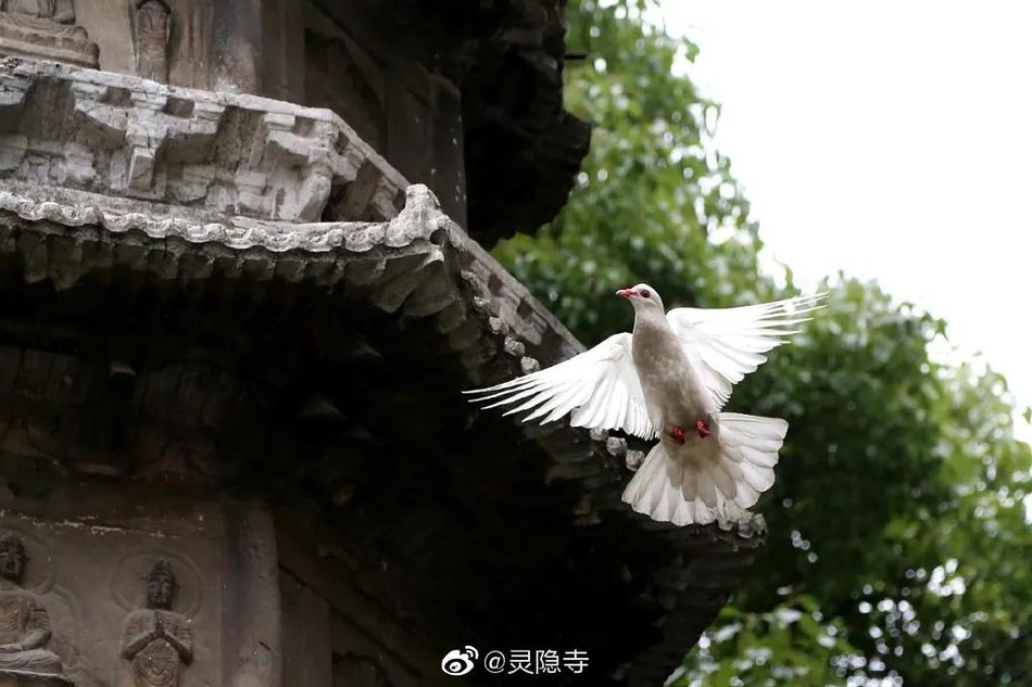 哈尔滨景点(哈尔滨景点介绍文案)