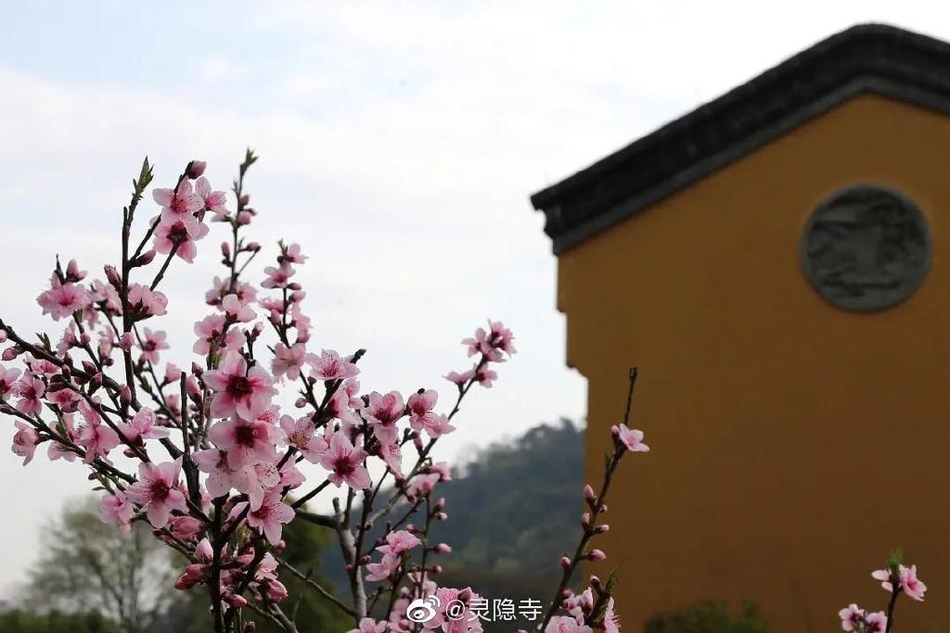 重庆到北京动车时刻表(重庆到北京动车时刻表查询)