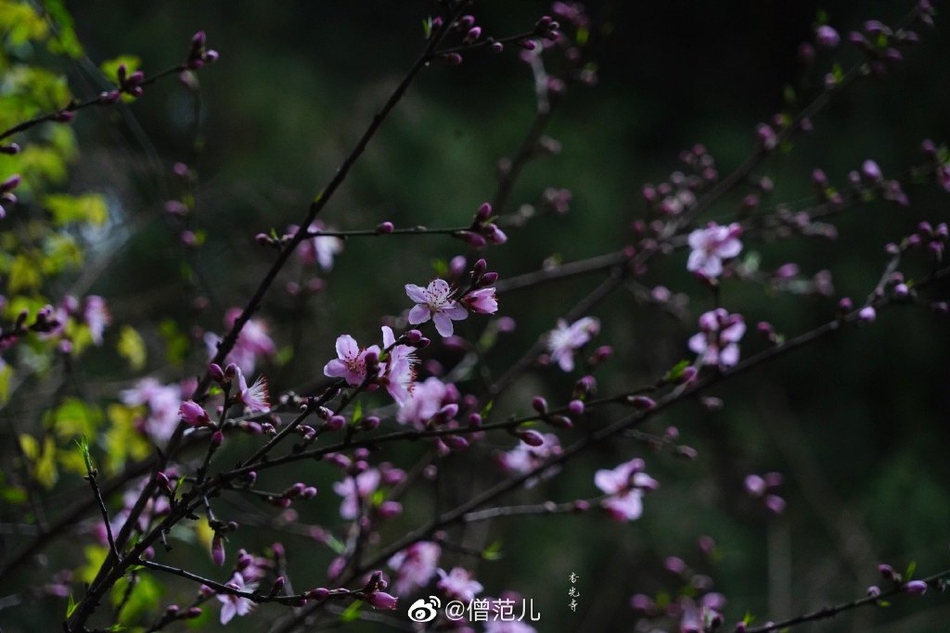 重庆周边一日游景点,重庆一日游去哪里玩好 重庆一日游必去景点推荐