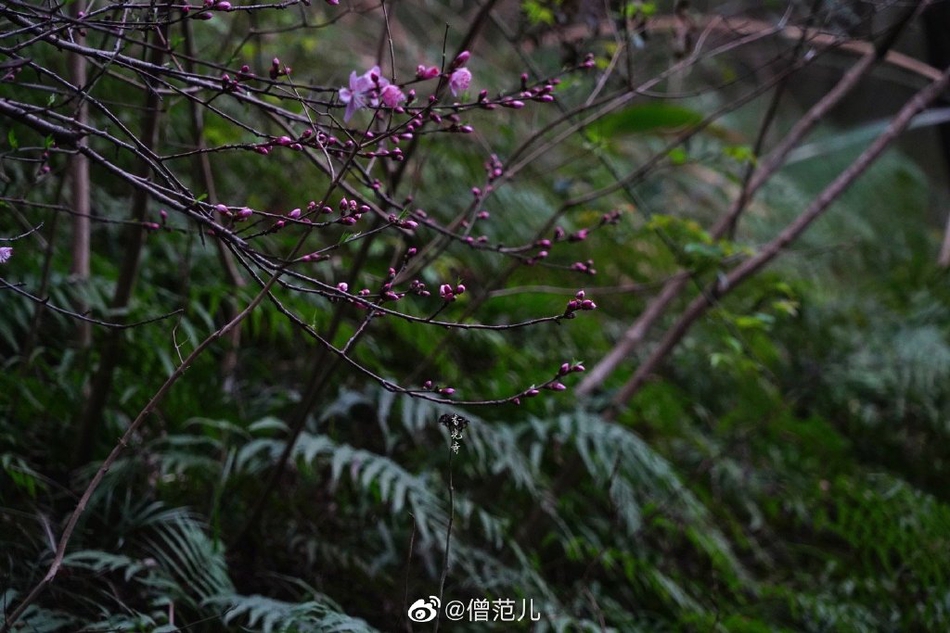 潜江天气预报(山东特大暴雪天气)