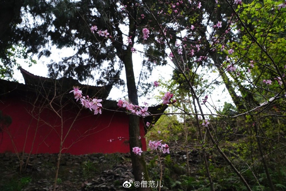 北京大学附近(北京大学旁边有什么大学)