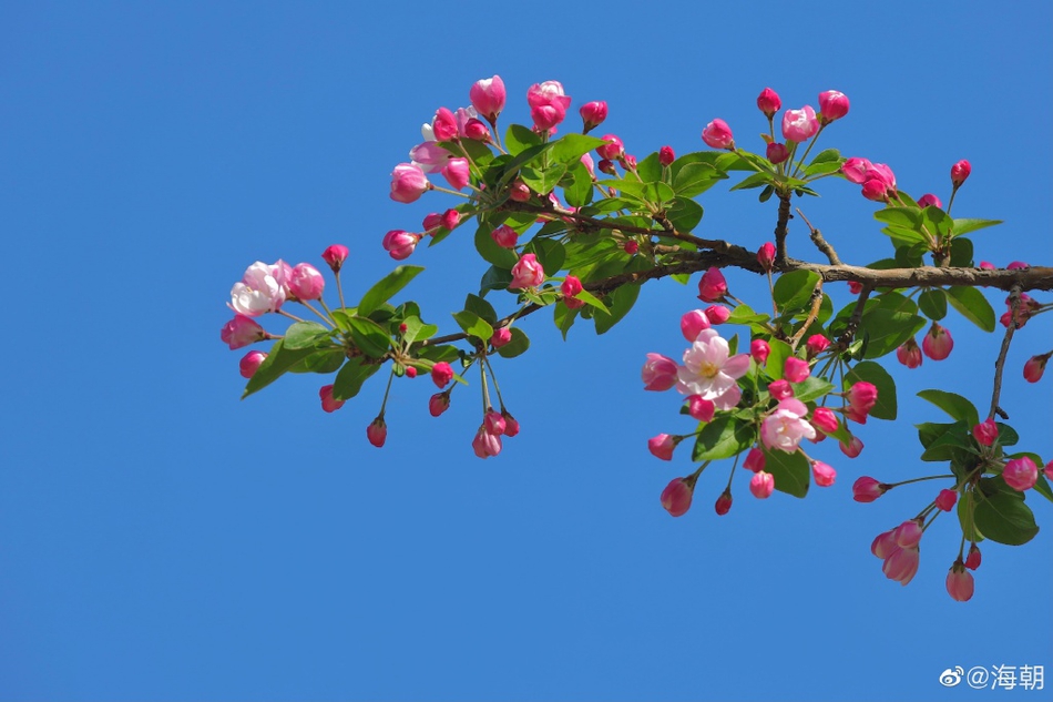 湖南芙蓉镇(湖南芙蓉镇简介)