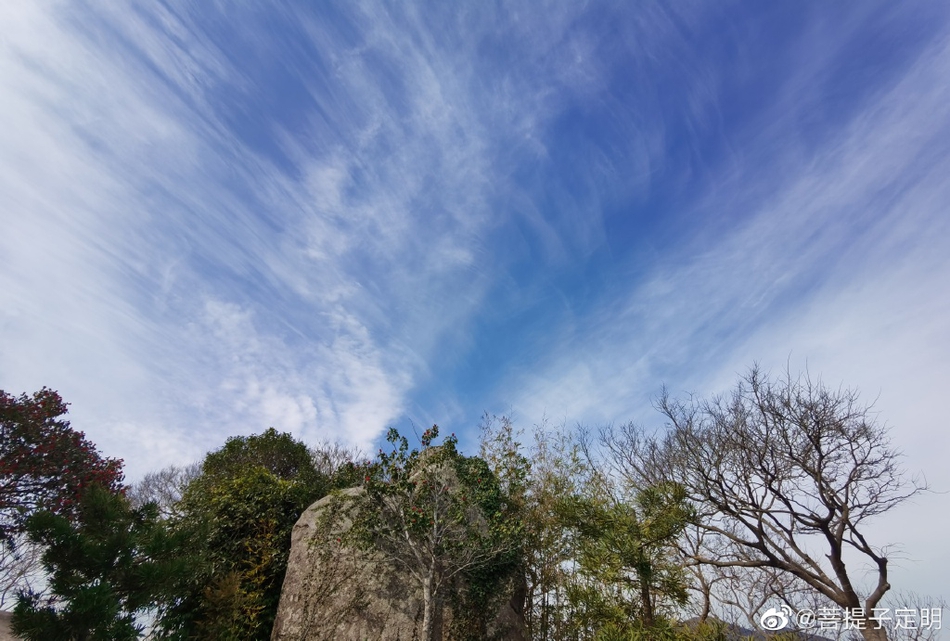 青岛万达影城延吉路店(青岛上影影城金狮广场 今日影讯)