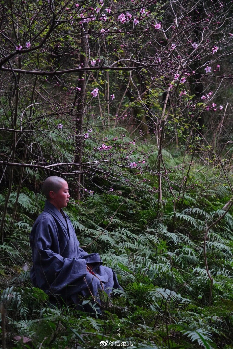 山西悬空寺(山西悬空寺详细介绍)