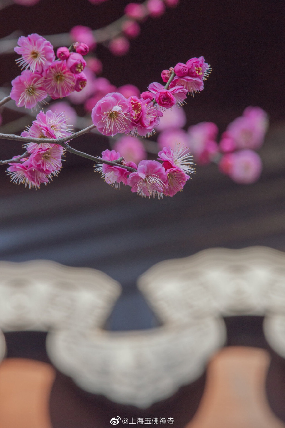 浙江天台慈恩寺,仙居到天台慈恩寺自驾车如何走