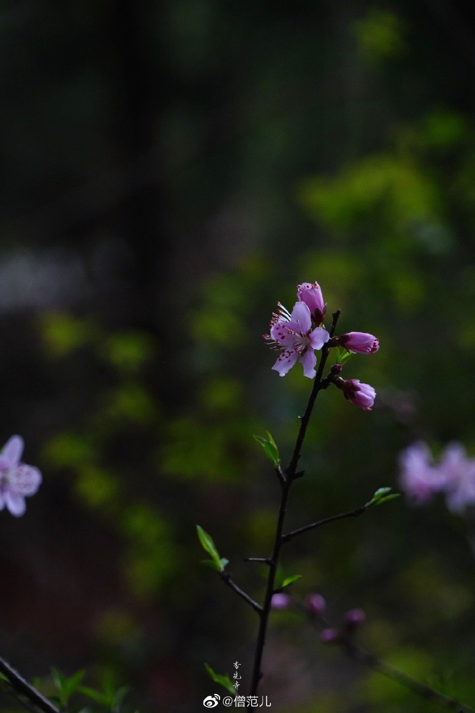 菲律宾大使馆,去菲律宾驻上海大使馆怎么走