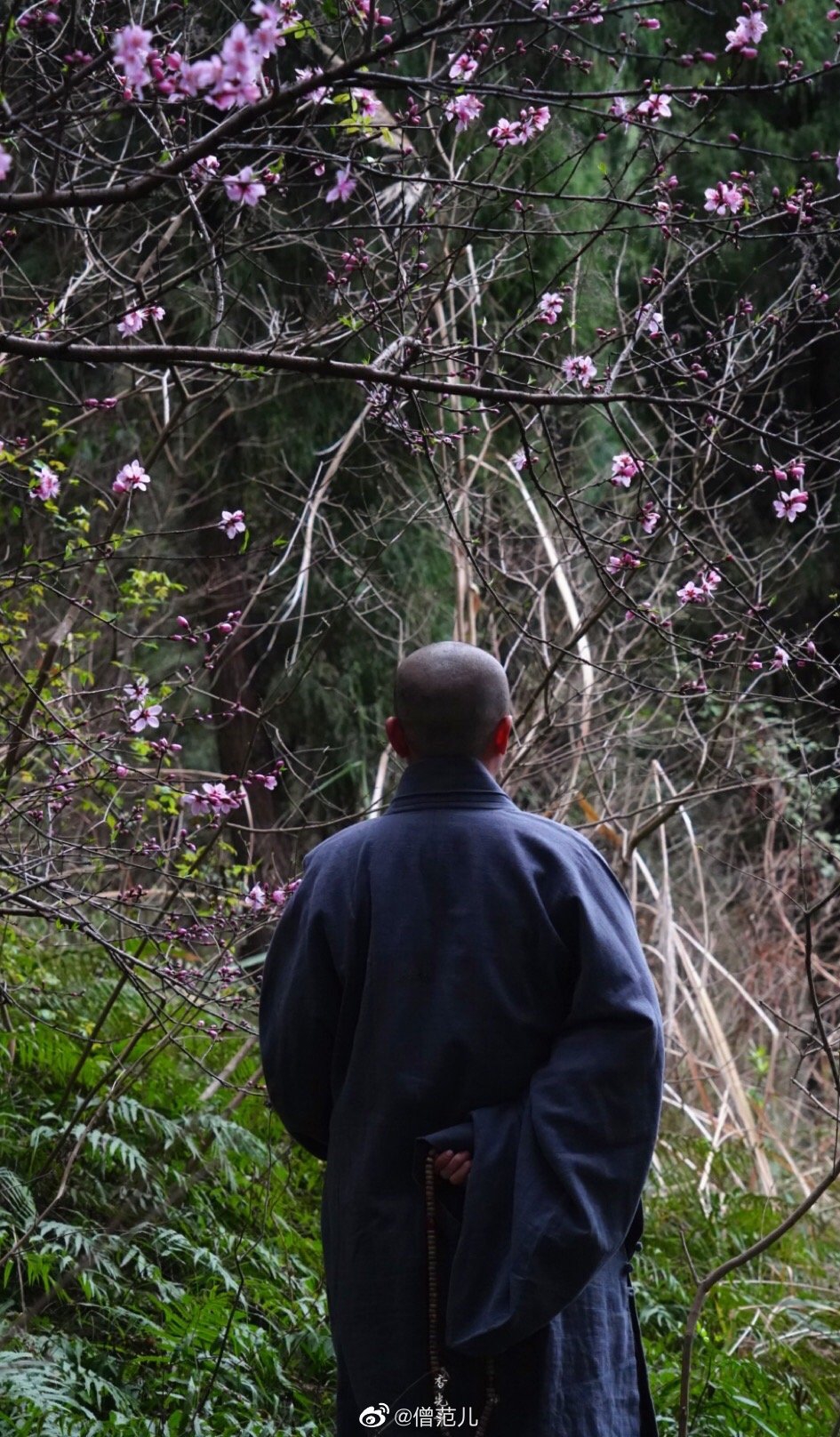 佘山月湖(佘山景点介绍)