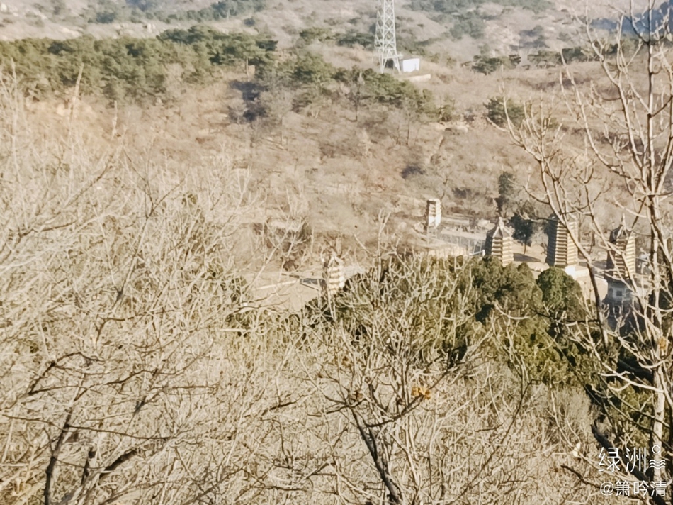 湖北枝江市(湖北枝江女人怎么样)