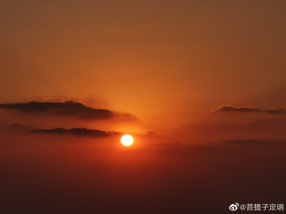 华师大图书馆(华师大图书馆怎么预约)