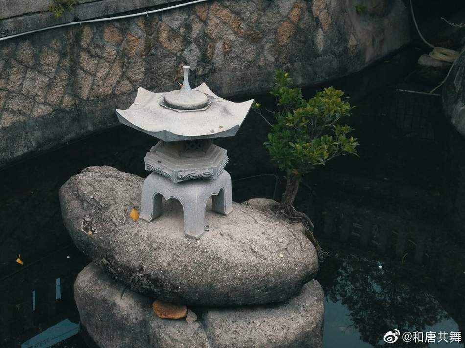 陕西永寿(永寿县有多少个镇)